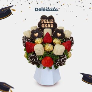 cat graduaciones 2026 (9)