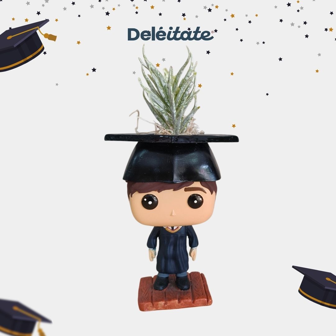 cat graduaciones 2026 (2)